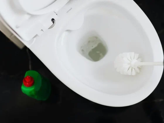 How to Get Rid of Limescale in a Toilet: Easy and Effective Methods